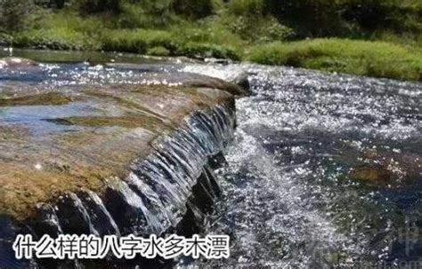 水多木浮|八字中水多木漂是什么意思 水多木浮的八字